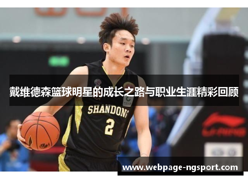 戴维德森篮球明星的成长之路与职业生涯精彩回顾