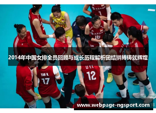 2014年中国女排全员回顾与成长历程解析团结拼搏铸就辉煌