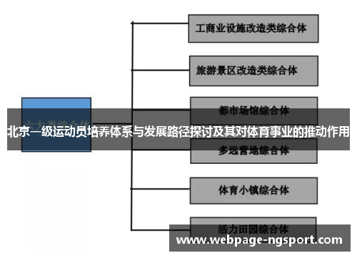 北京一级运动员培养体系与发展路径探讨及其对体育事业的推动作用