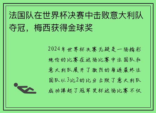 法国队在世界杯决赛中击败意大利队夺冠，梅西获得金球奖
